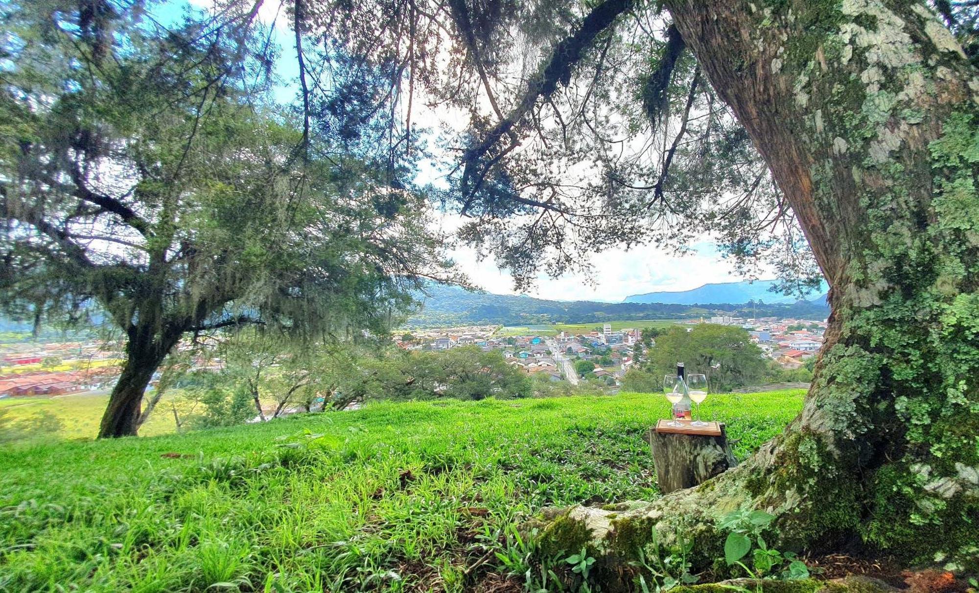 Cabana Canto Lindo - Urubici-Sc エクステリア 写真